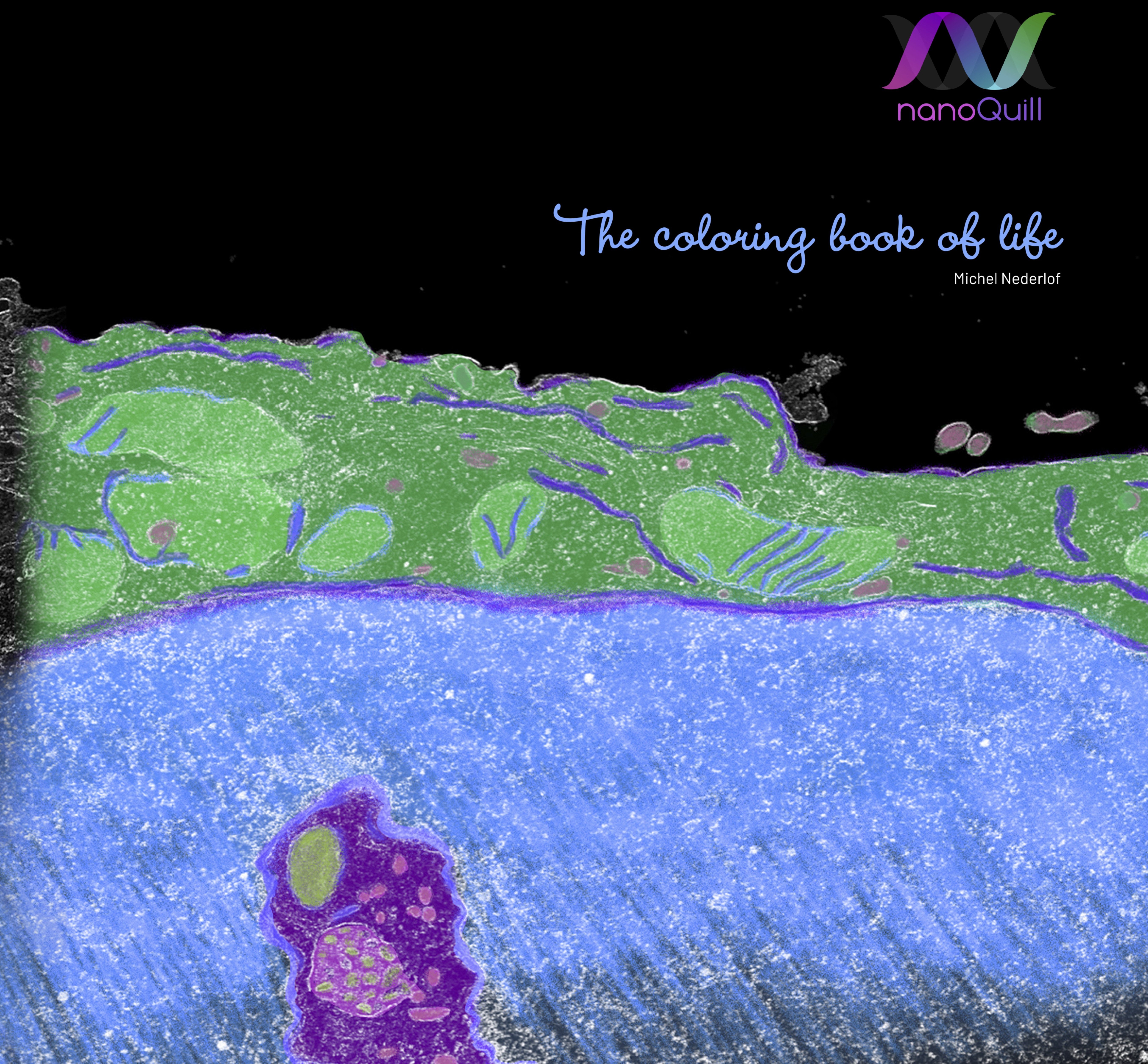 nanoQuill_bookcover_print