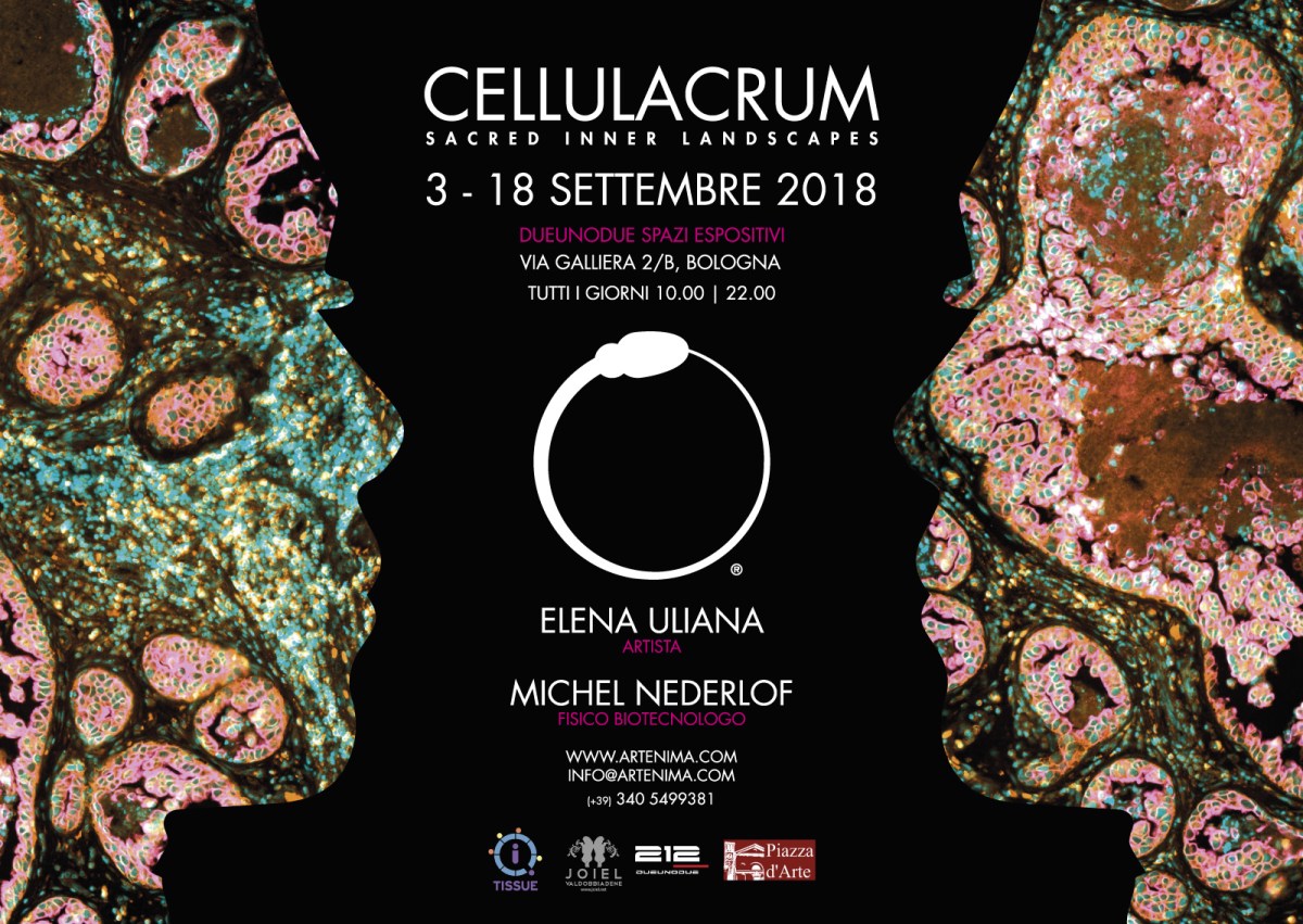 Art Imitates Tech…in Italy, of&nbsp;Course!