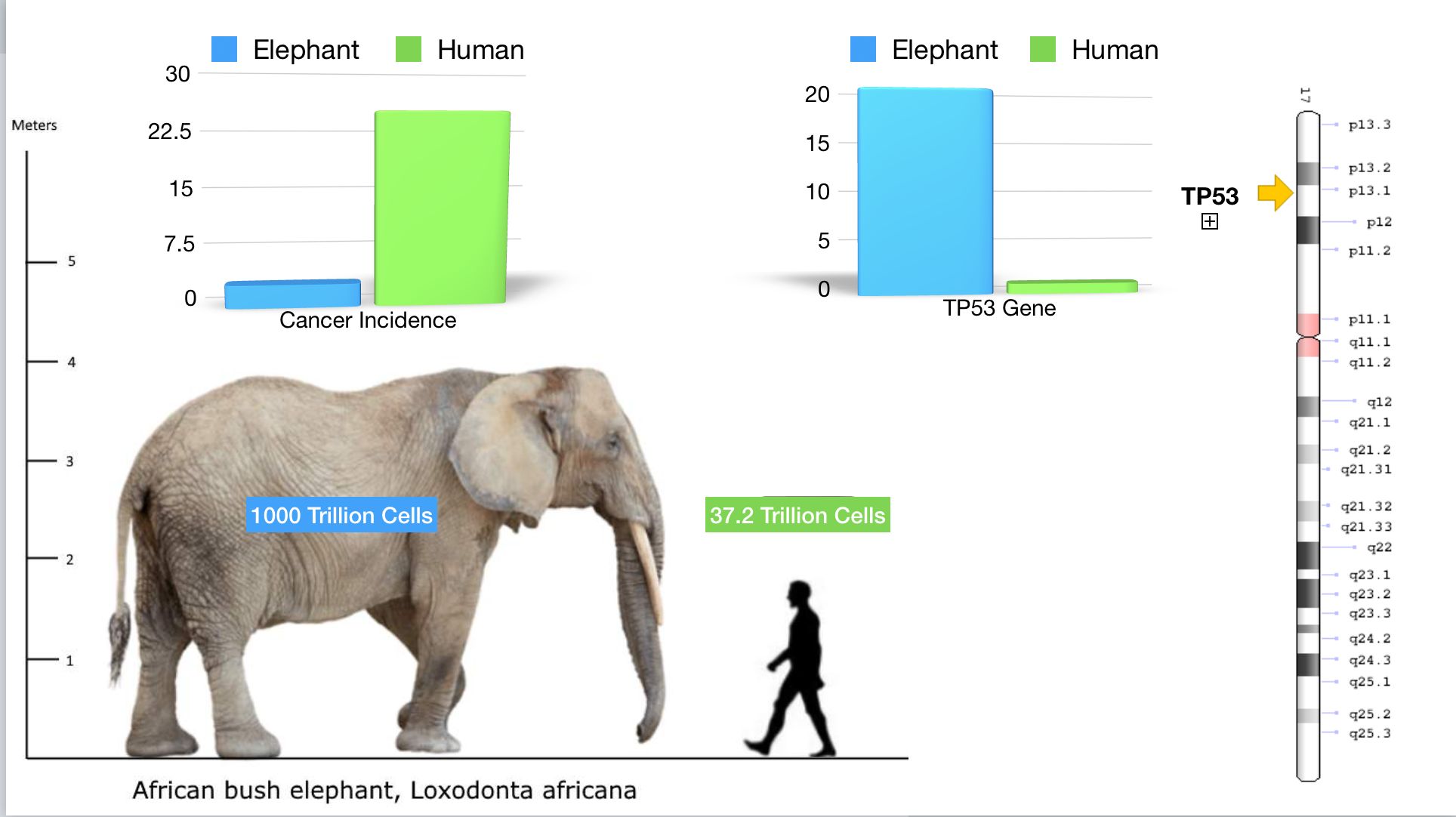 Screen Shot 2019-02-02 at 12.58.48 PM